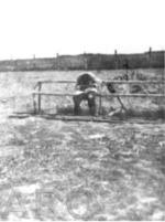 Belzec Labour Camp: A Prisoner, shot on the Latrine.