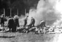 Members of the Sonderkommando at the cremation pits behind
Crematory V. The photo was taken by the resistance organization during the 'Hungarian Action' in the summer
of 1944 and smuggeled out of the camp.