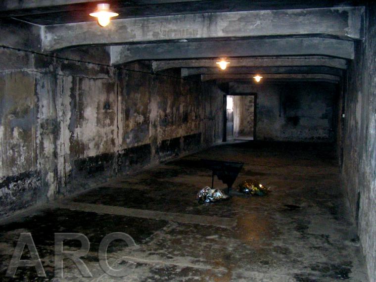 gas chambers in holocaust. Gas Chamber I