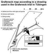 Grafeneck Map.