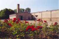 View from the former Gas Chamber to the Crematory