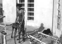 Ruth Halber,