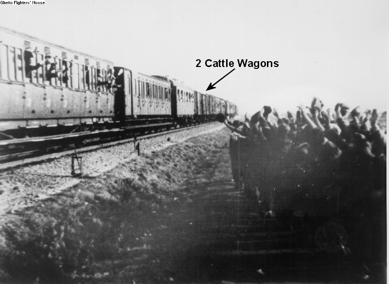 nazi cattle cars