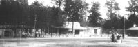 Treblinka Zoo - Original Photo from
the Kurt Franz Album.